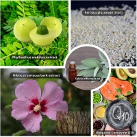 HUSSSH® Hair Recovery Shampoo for Reconstruction and Thickening